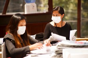 Elections Bolivia electoral assistance UNDP