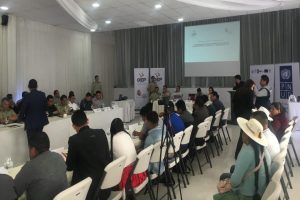 UNDP Bolivia elections Mauro Calvo